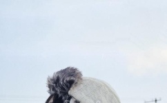 我和表妺一起洗澡揉她胸作文